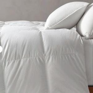 Down Duvet Insert