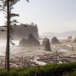 Olympic Coast