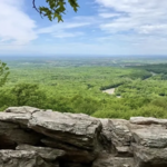 Bears Den
