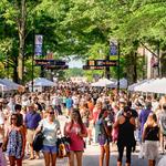 Fall for Greenville