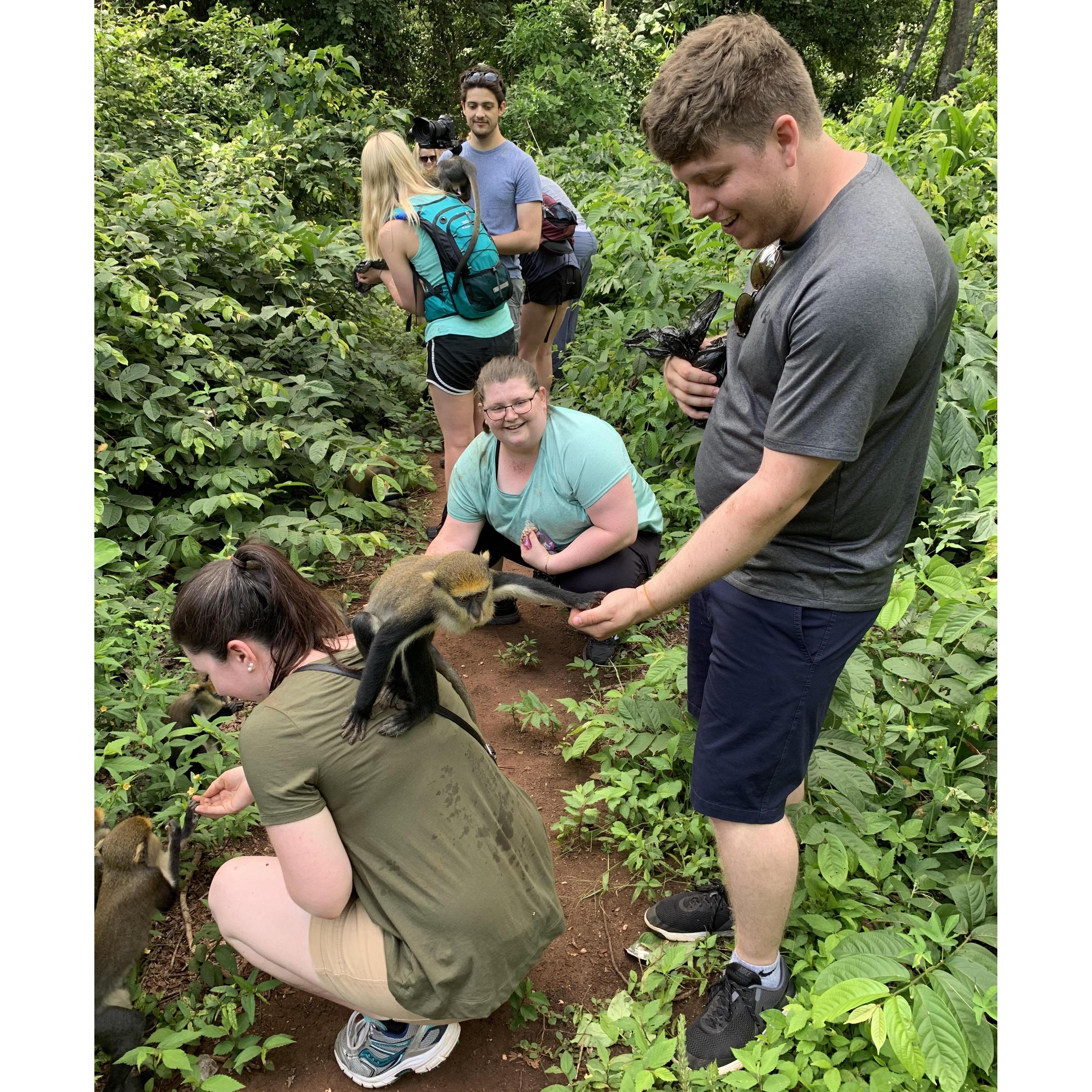 June 2019; Boabeng-Fiema Monket Sanctuary in Ghana, Africa
