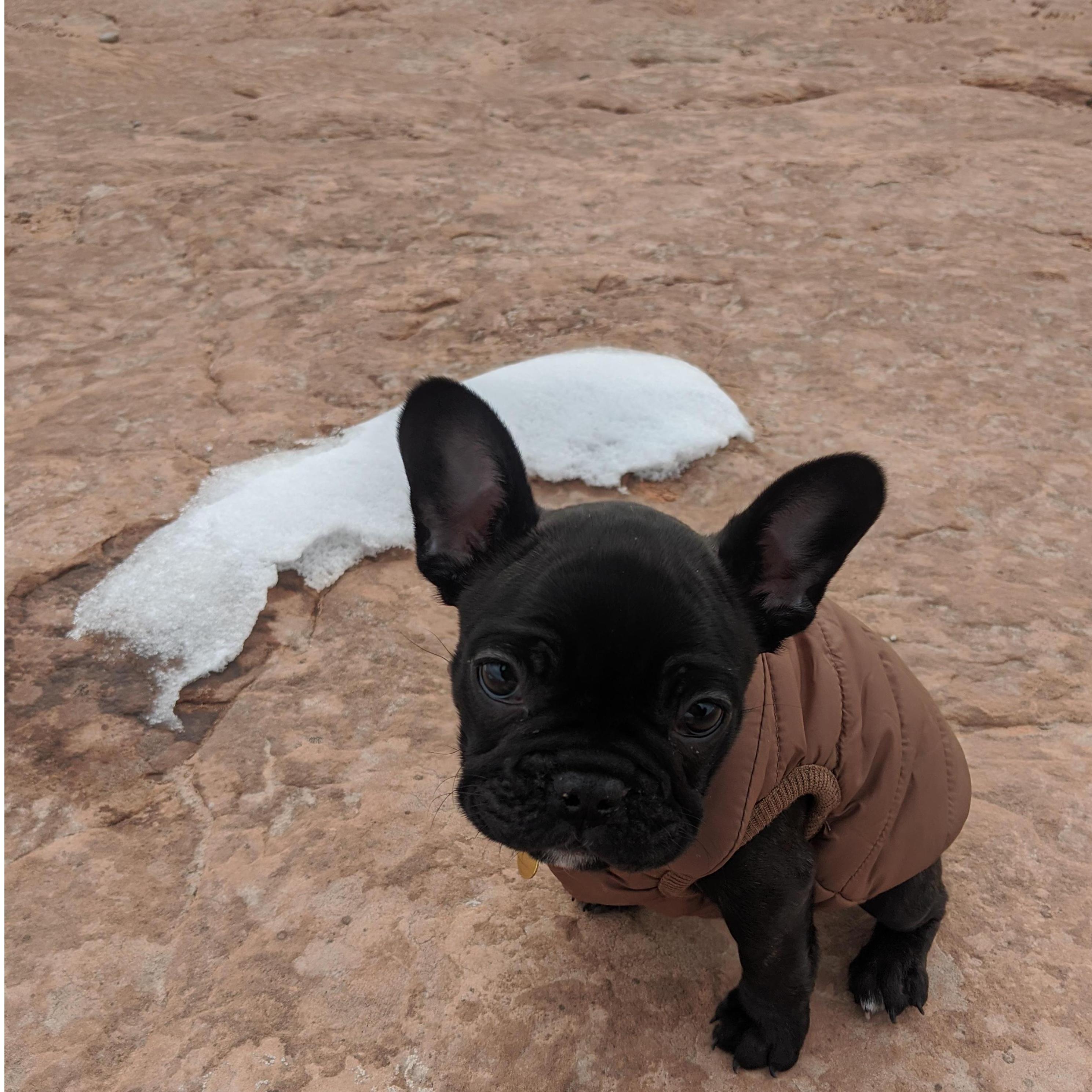 Lucy's first trip to Moab, January 2020