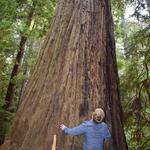 Marin County