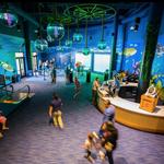 OdySea Aquarium