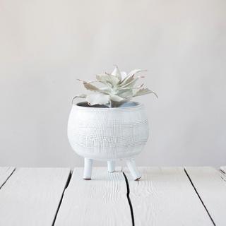 Footed Terracotta Planter