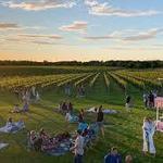 Wölffer Estate Vineyard