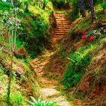 Vallarta Botanical Gardens AC