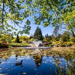 VanDusen Botanical Garden