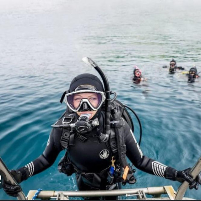 Dive experience