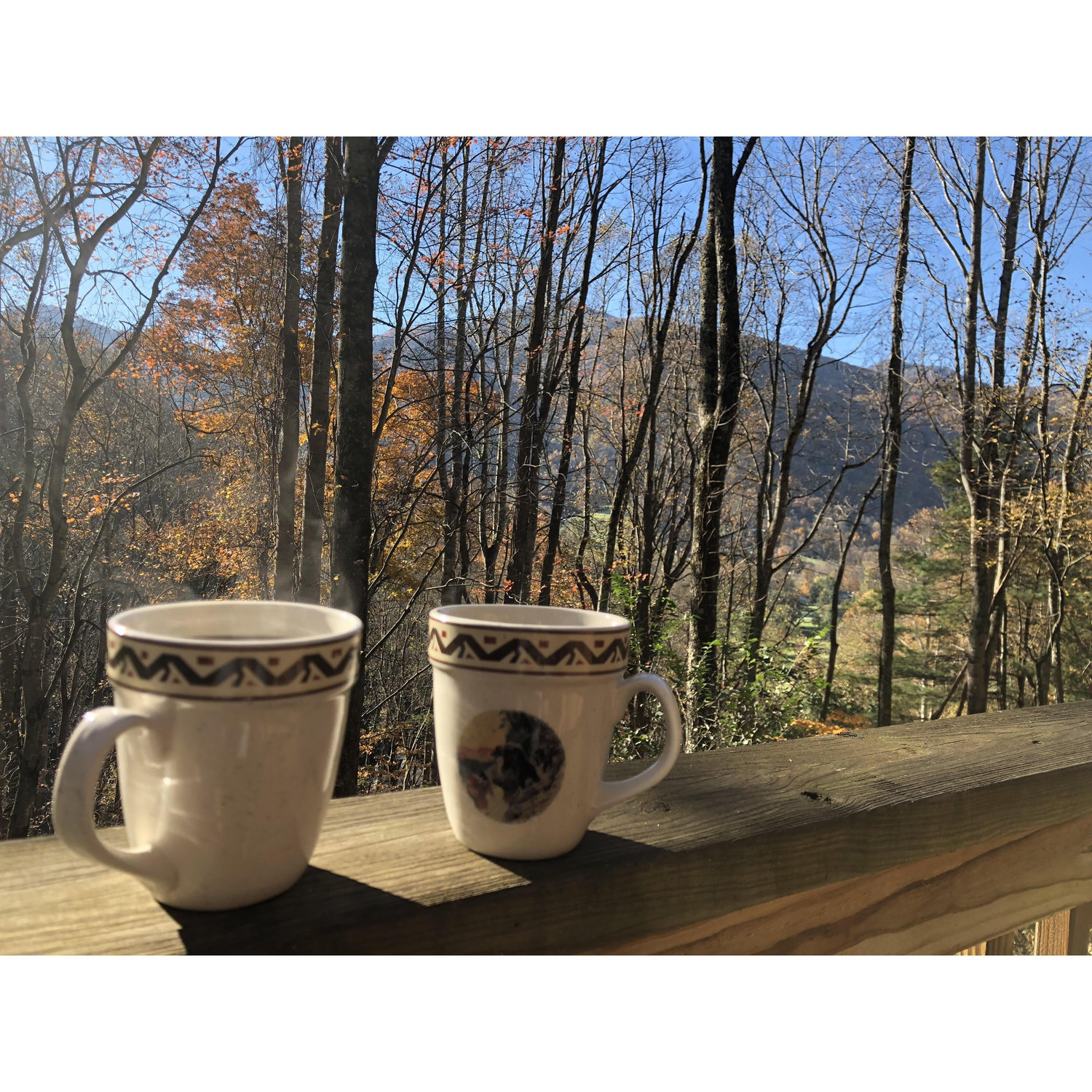 Maggie Valley, NC
