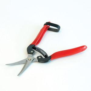 Grape and Tomato Shears