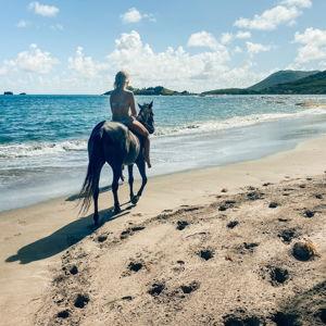 Horseback Riding on the Beach for our Honeymoon