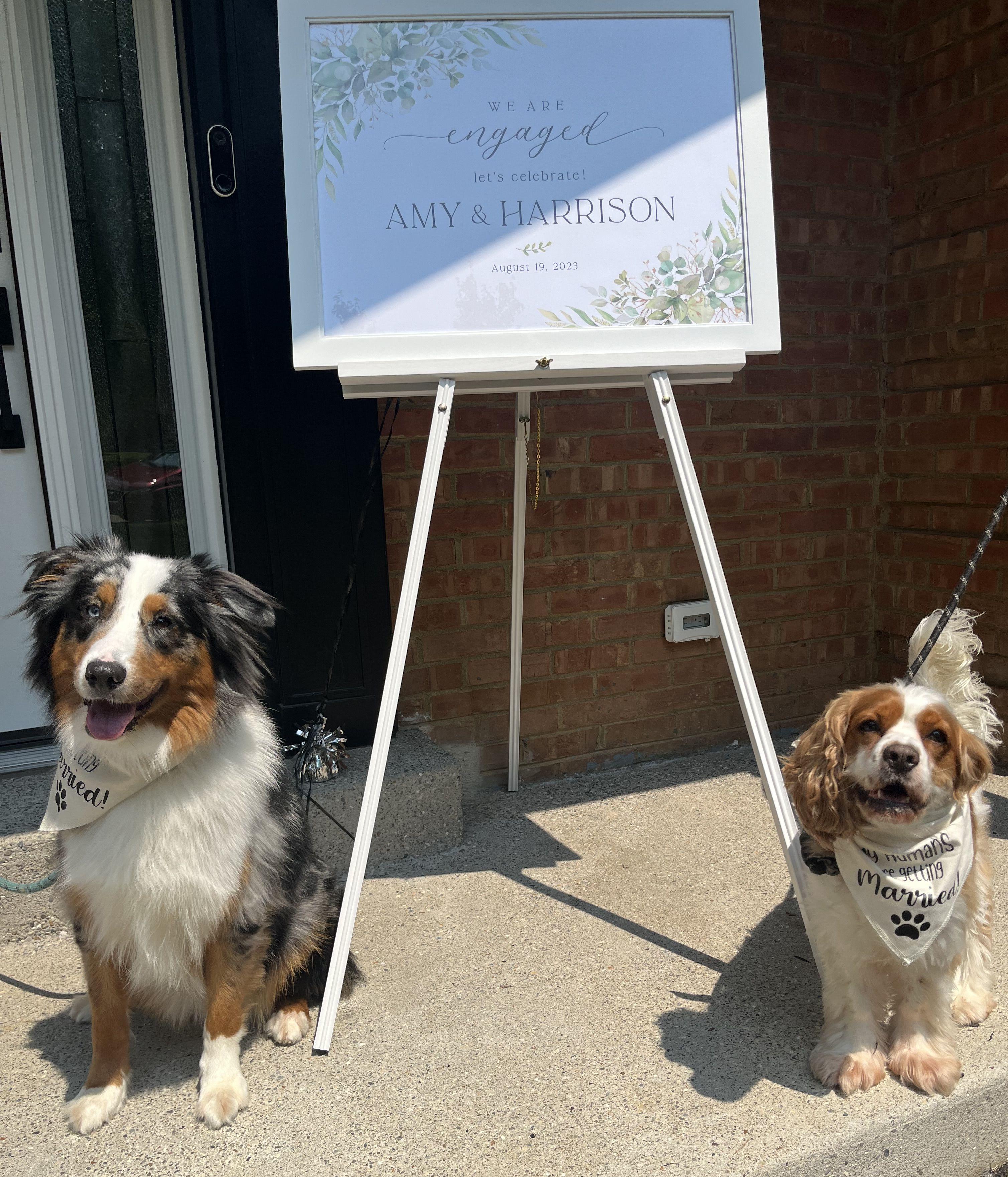 The Wedding Website of Amy Beard and Harrison Daniel