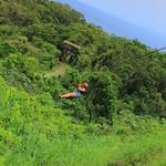 Zip lining, ATV tours, and more!