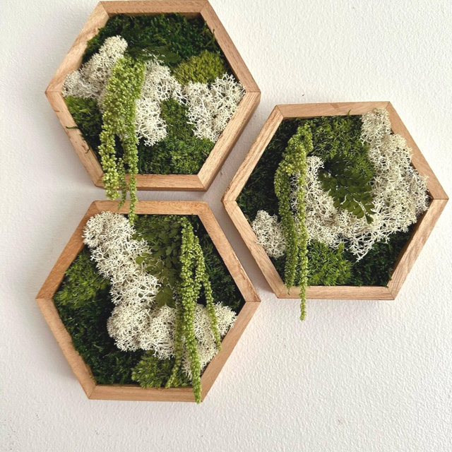 Moss Wall Art | Honeycomb Moss | Three Sizes - 5 x 6", 8 x 9" or 10 x 11.6" |Wood Hexagon | Reindeer, Pole, Sheet Moss Amaranthus | Moss Art