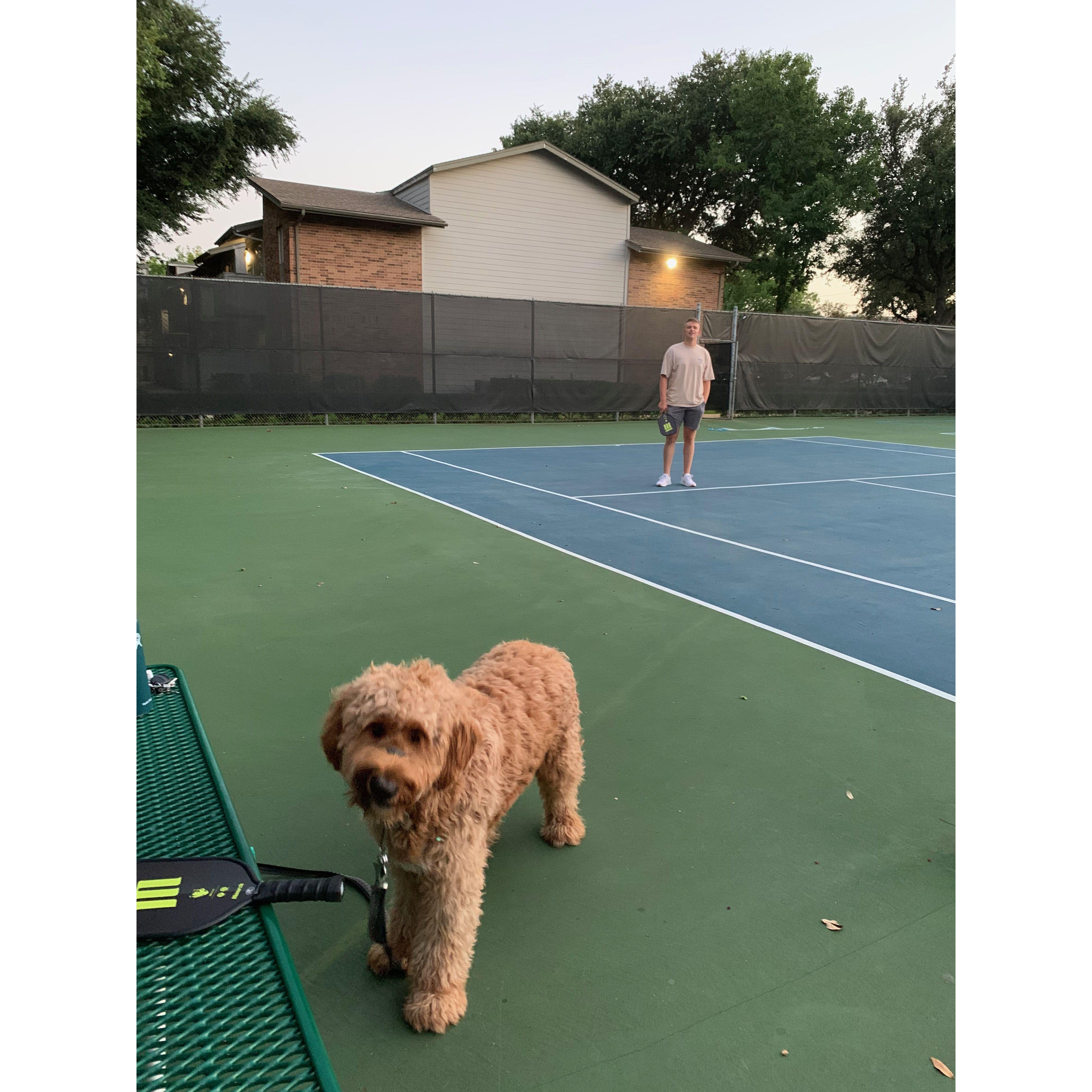 Weber likes to play pickle ball with us.