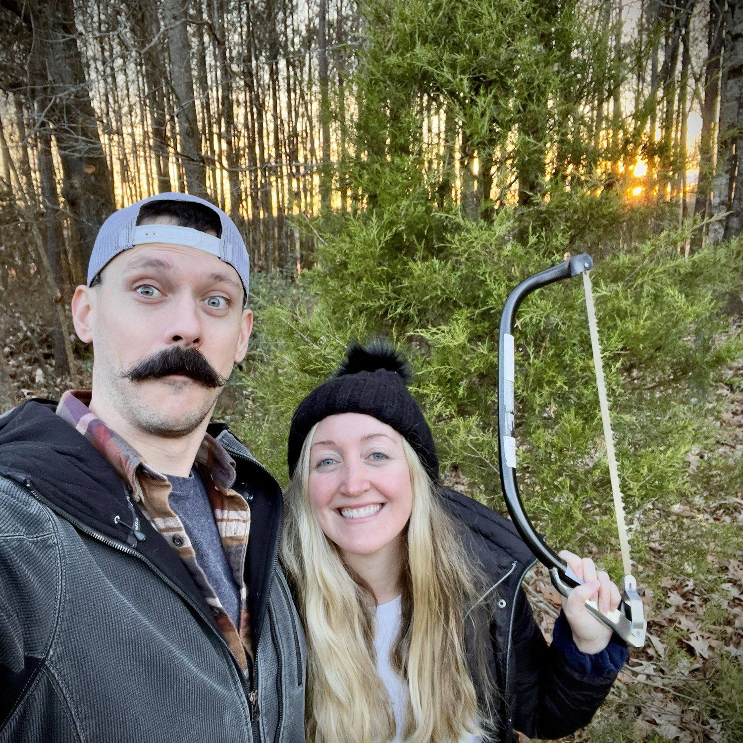 Christmas tree cutting