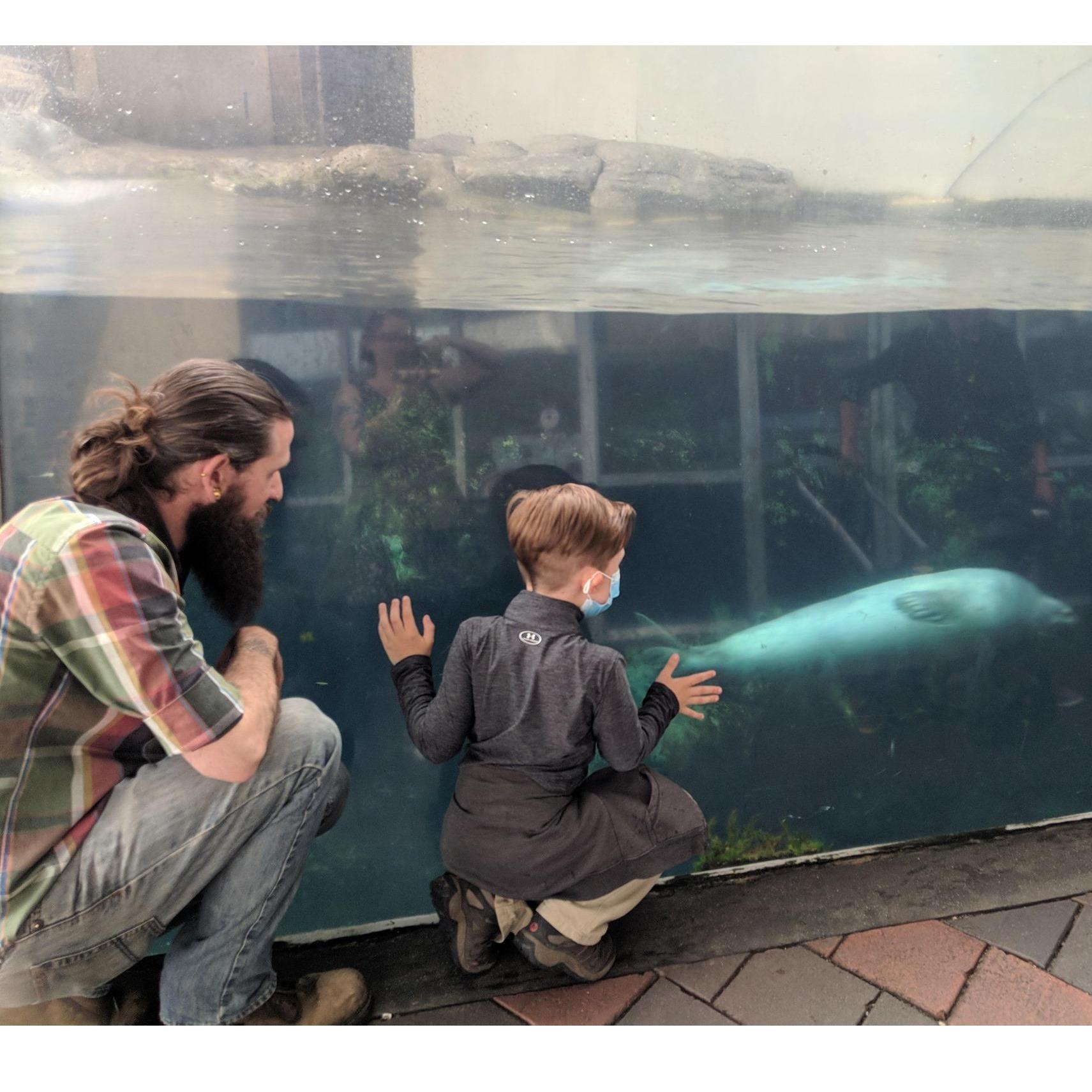 Trip to the New England Aquarium.
Note: Bridget is in the photo... if you look hard enough
