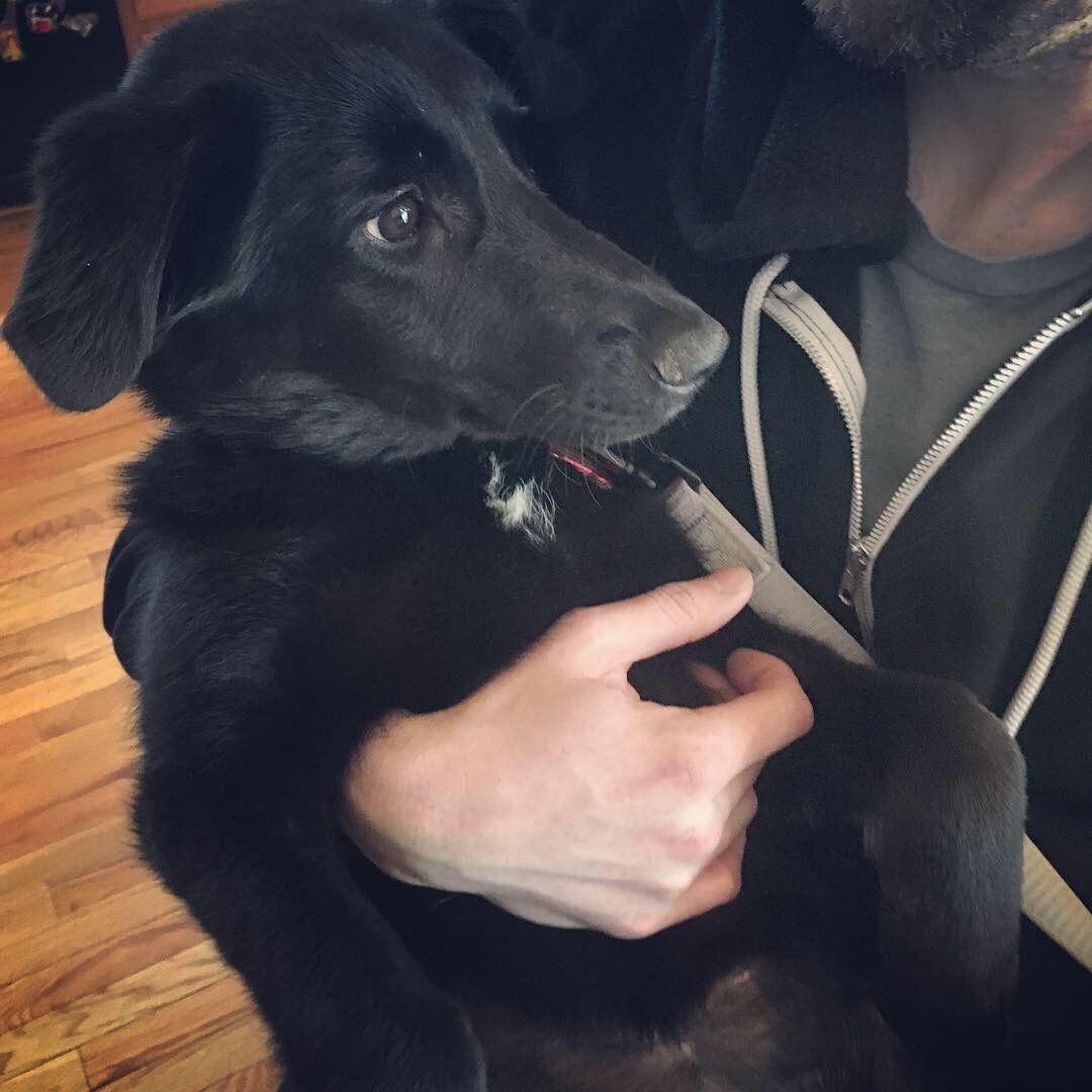 First day with Maeve