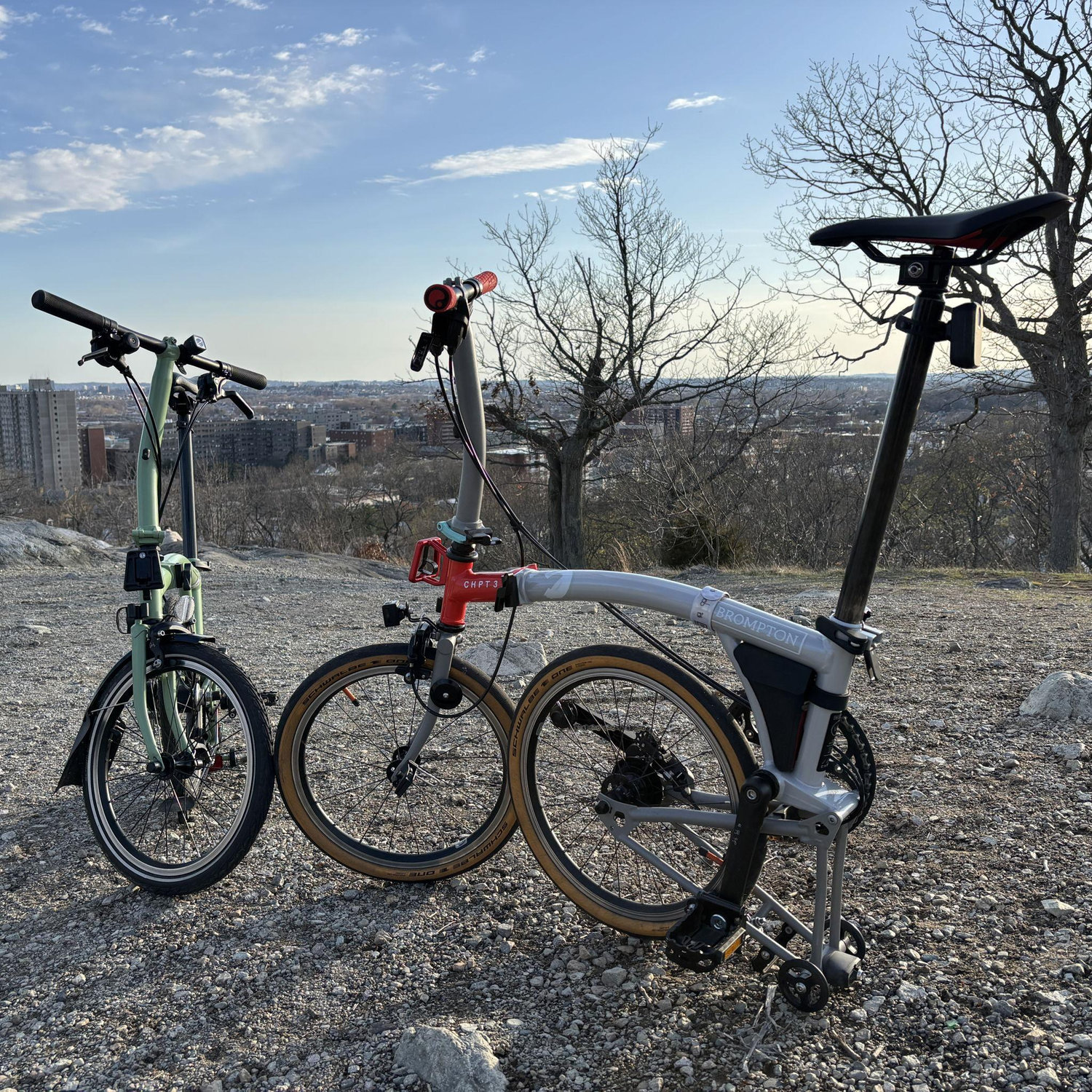 Bromptons kissing