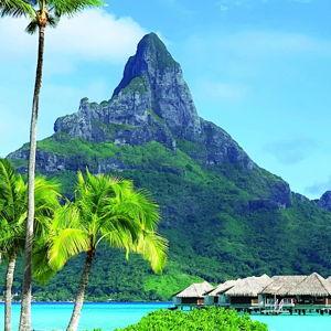 Honeymoon Fund