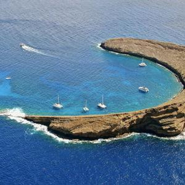 Honeymoon- Snorkeling Boat Tour to Molokini