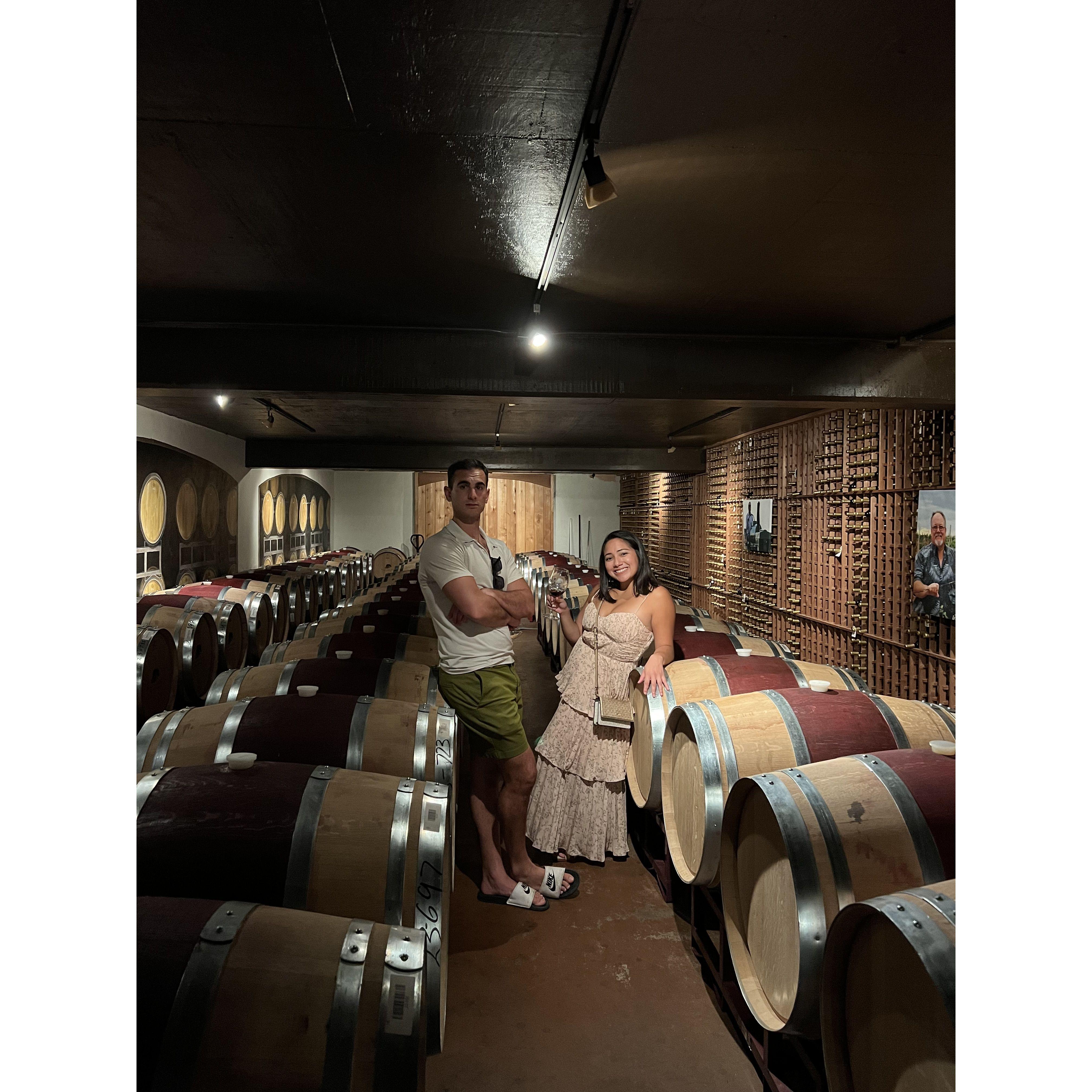Wine Tour in Fredericksburg