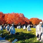 Korean War Veterans Memorial
