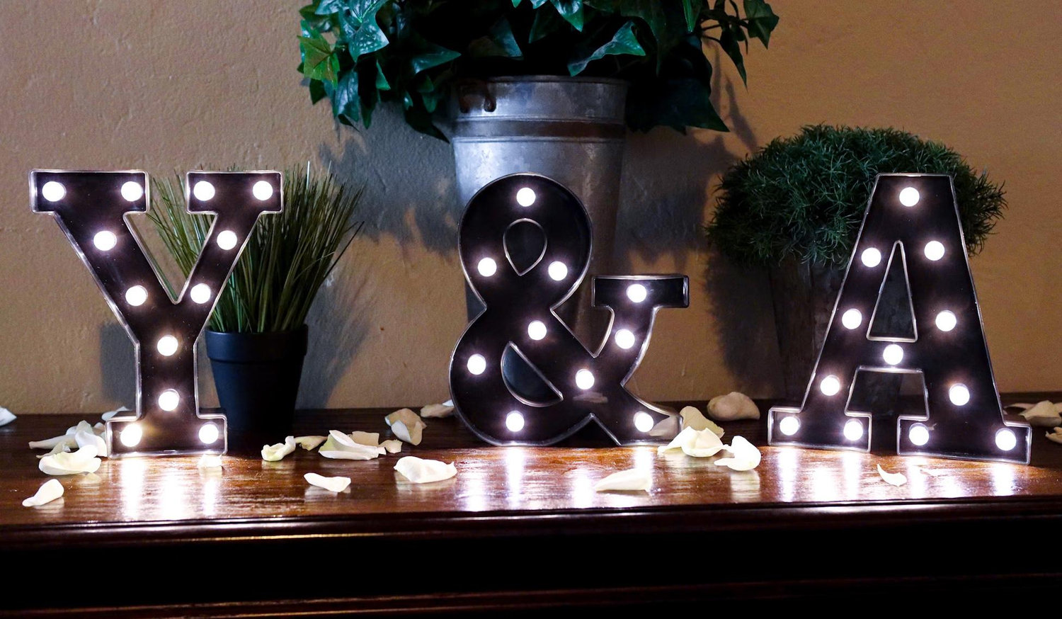 The Wedding Website of Annie Cunningham and Yako Zarefakis