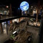 Houston Museum of Natural Science