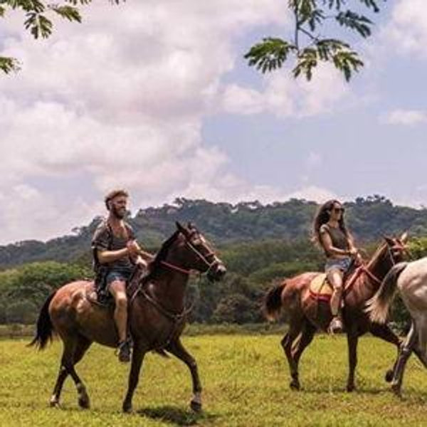 Horseback Riding Tour | Honeymoon