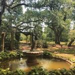 Airlie Gardens