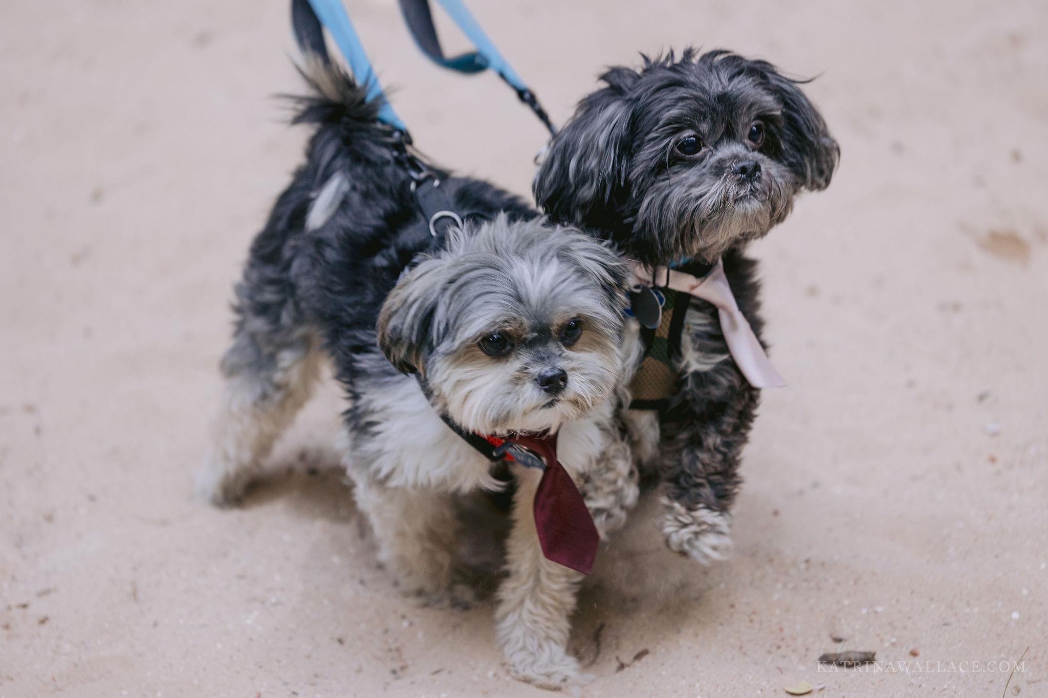 The Wedding Website of Kimberly Blumert and Scott Childers