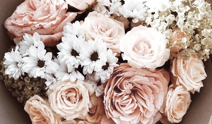 The Wedding Website of Rachel Swasso and Elijah Perry