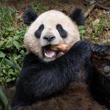 San Diego Zoo