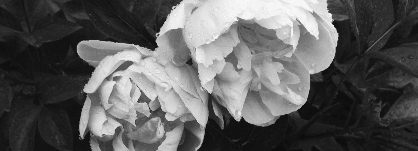 3bfbf80e-836b-4e03-bfe8-72fd895e39a0