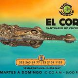 El Cora Crocodile Sanctuary