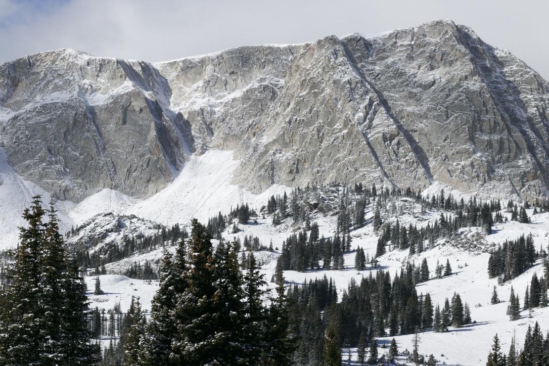 The Wedding Website of Courtney Marie Teitzel and Jaren David Williams