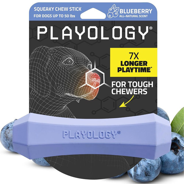 Playology Dog Toys | Squeaky Chew Stick for Dogs | Blueberry Scented Medium Fetch Toy | Squeaky Dog Chew Toy