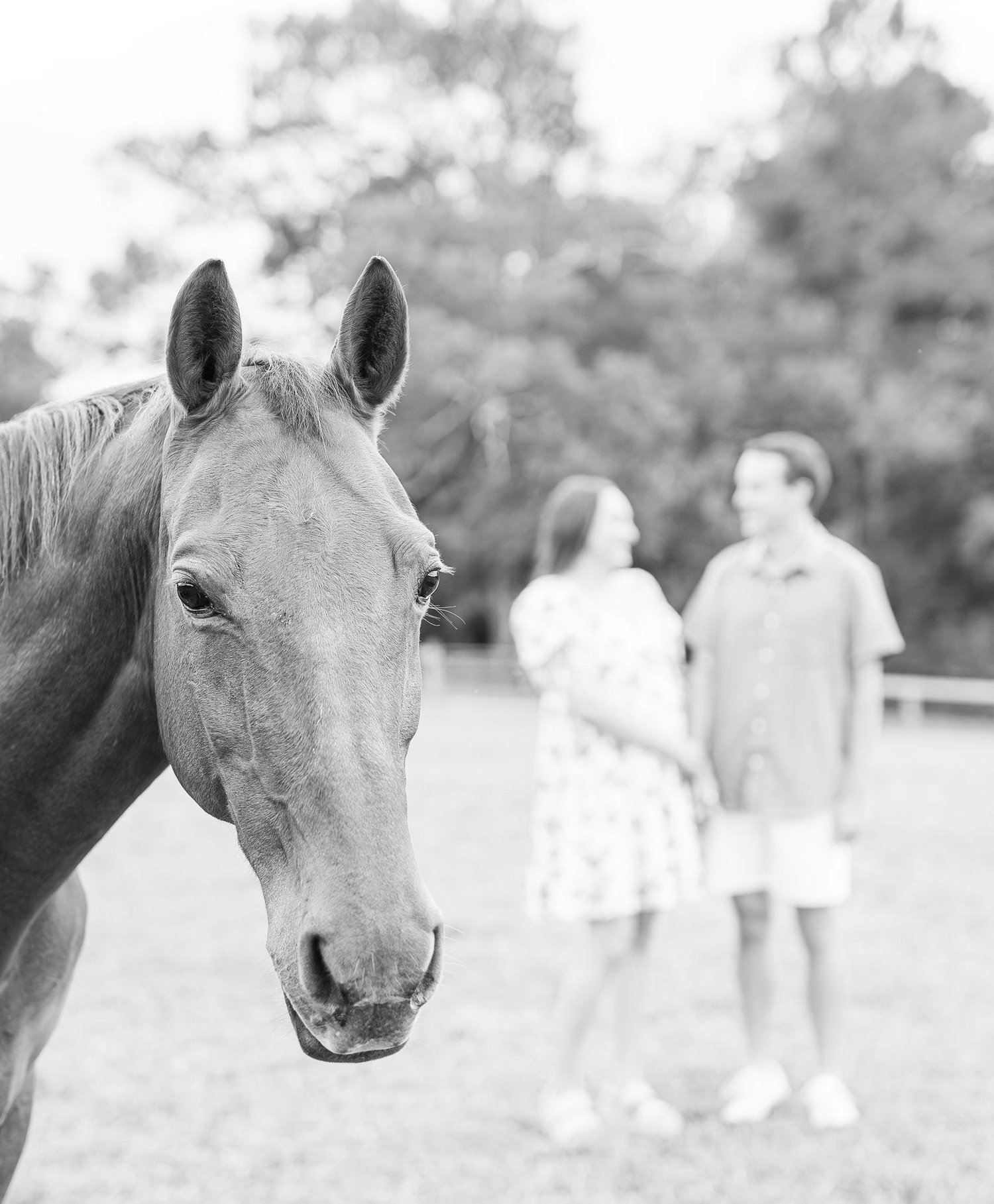 The Wedding Website of Lindsey Johnson and Justin Sidebottom