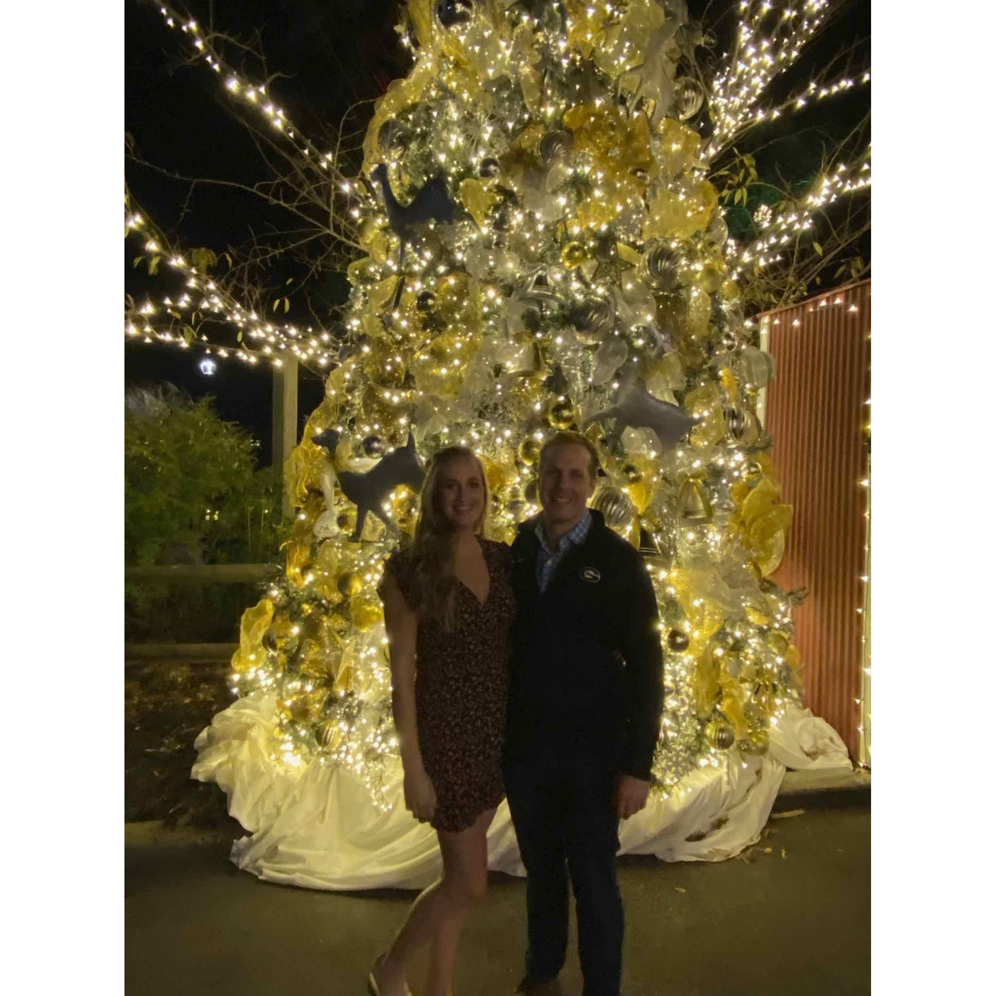 Christmas time- Raleigh, NC