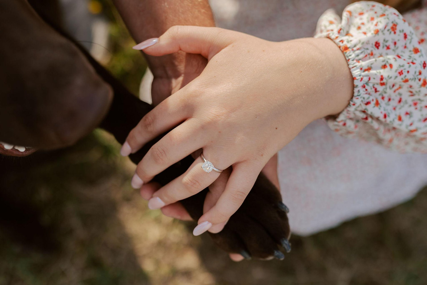 The Wedding Website of Kenzie Sallack and Bryan Schatz