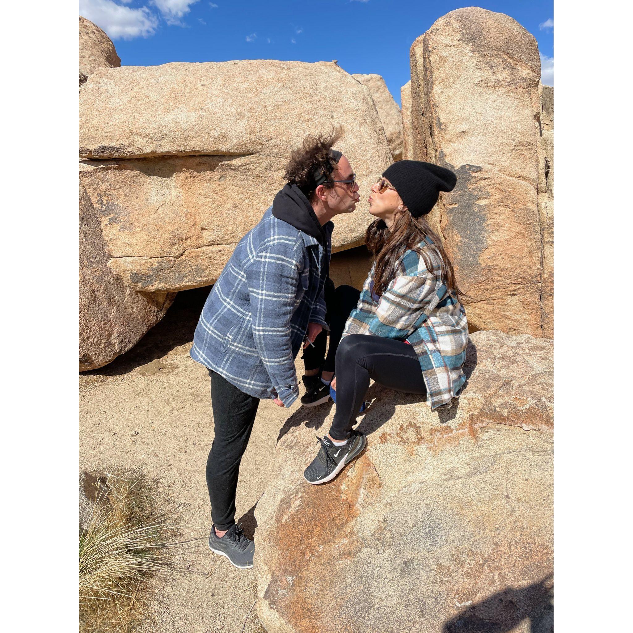 Joshua Tree