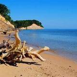 Calvert Cliffs State Park