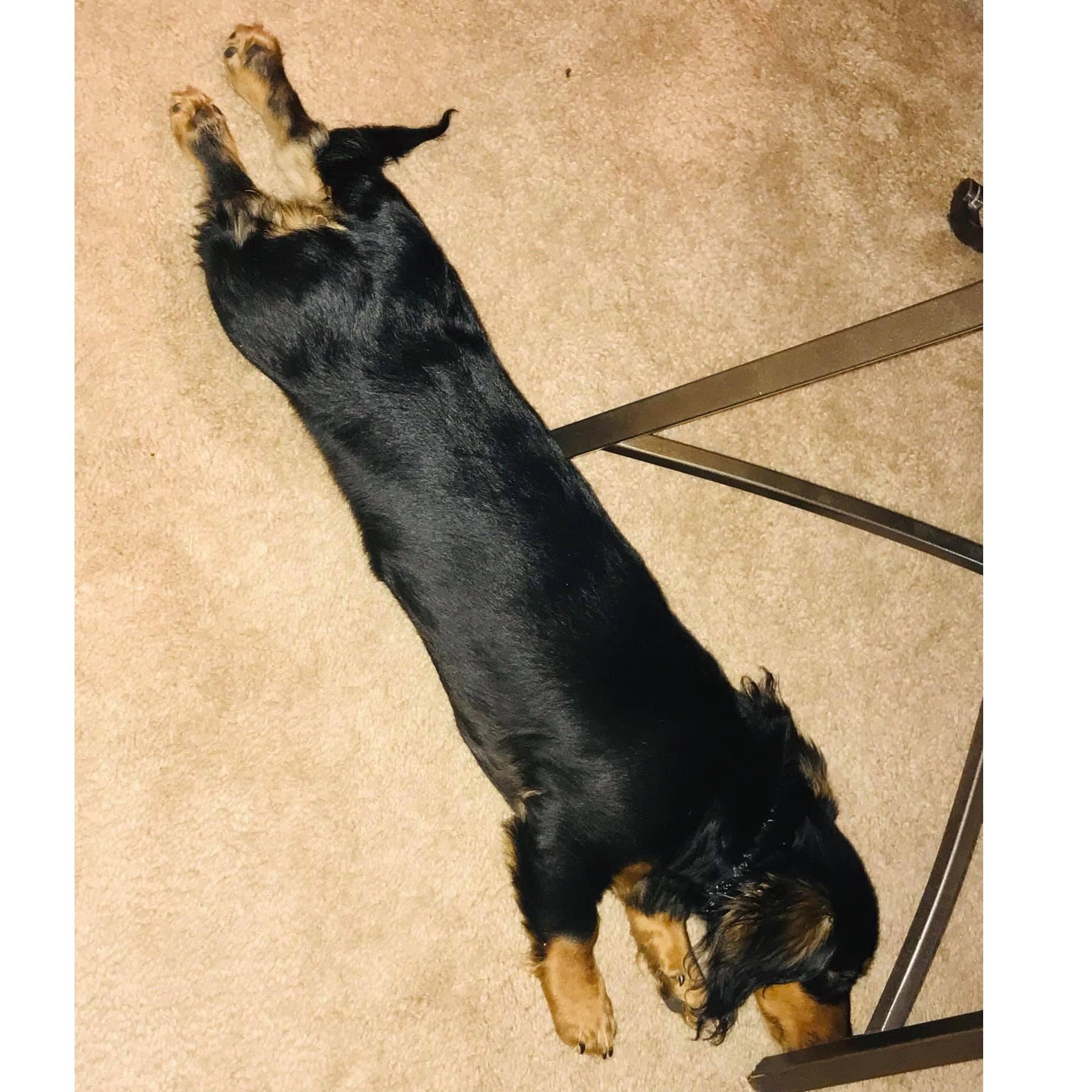 SPLOOT!!