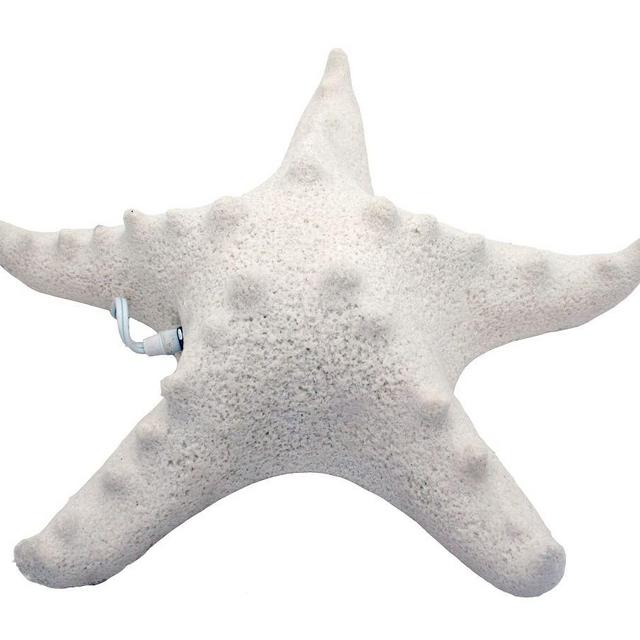 Light Up Frosted Glass Starfish, 16" x 16" x 5"