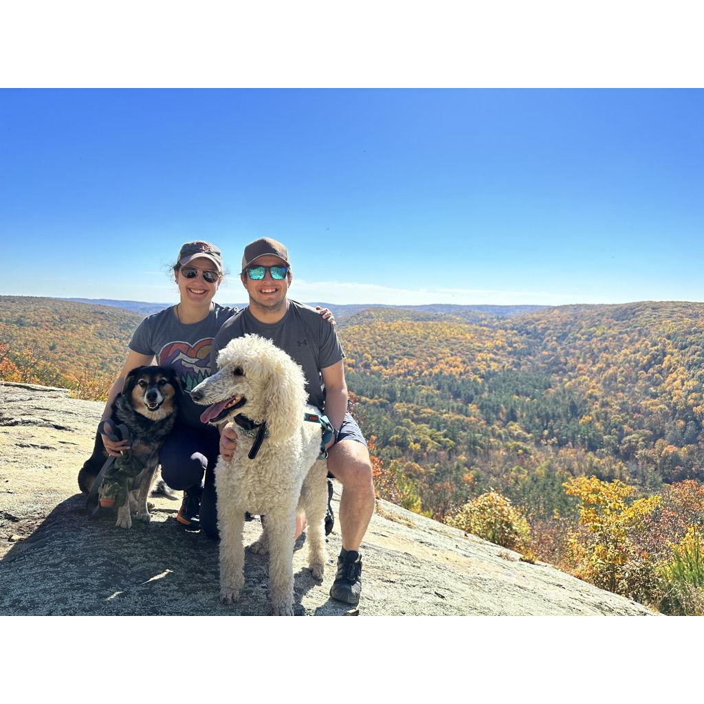 One of our fall hikes with Maisy and Sierra- circa 2022