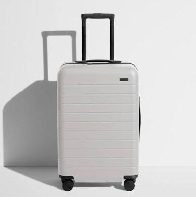 Away Large Checked Luggage, 29 Inch Hardside Suitcase with Spinner Wheels, Lightweight & Durable, TSA Lock, Cloud Gray