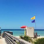 Honeymoon Island State Park