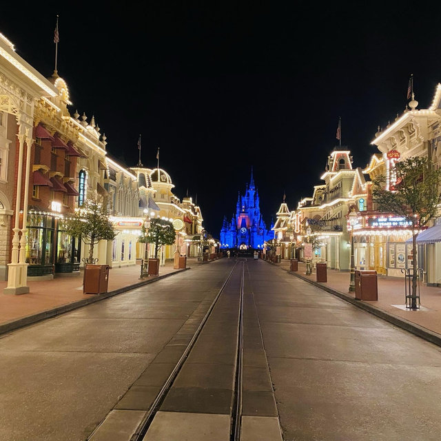 Disney Honeymoon